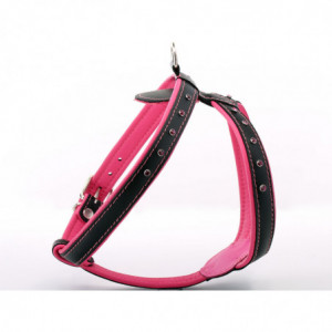 Schwarz & Pink Diamante...