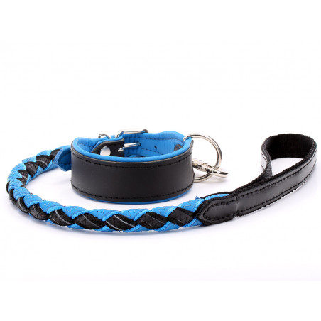 blue leather dog lead