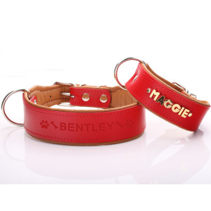 Collar Para Perro Ancho Y...