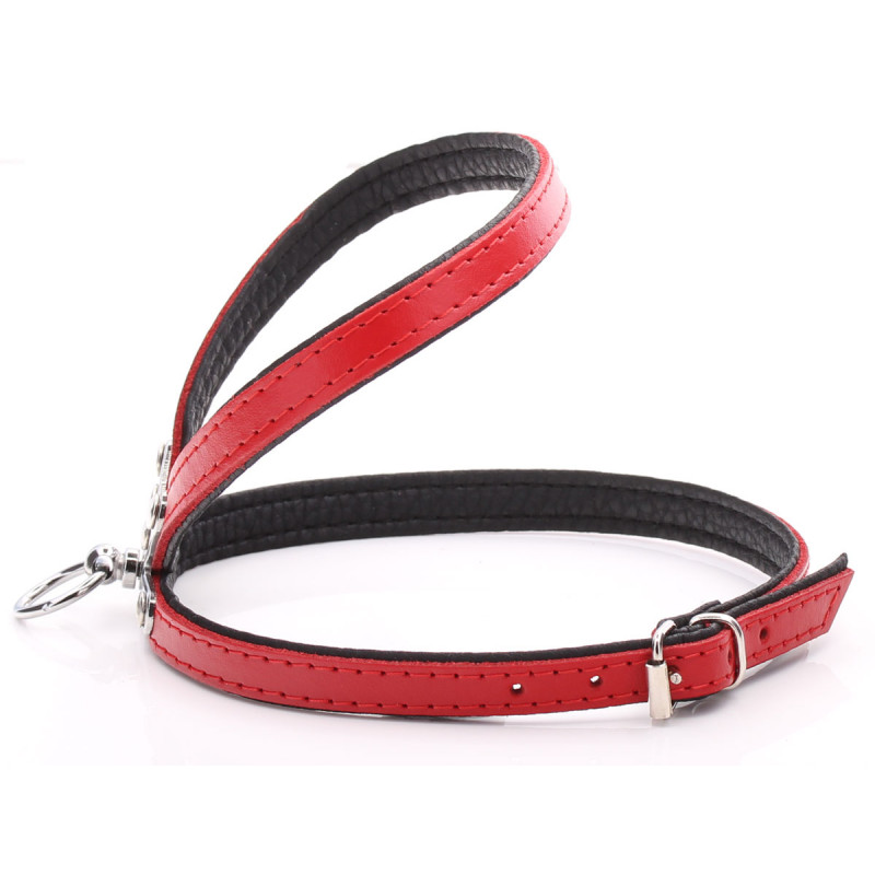 Small Red Harness for small puppies