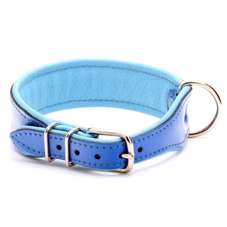 Custom Blue Leather Dog Collar with Blue Padding