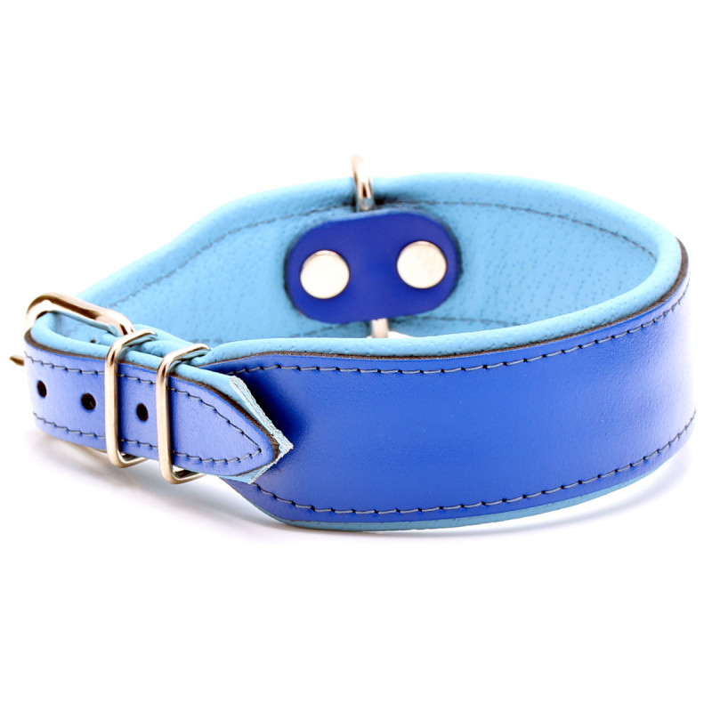 Blue Leather Dog Collar
 Custom Blue Leather Dog Collar with Blue Padding