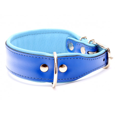 Handgemachtes Hundehalsband Aus Blauem Leder