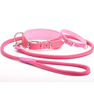 pink dog collar and lead
