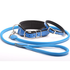 dog collar and lead set