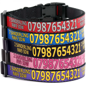 personalised puppy collar
