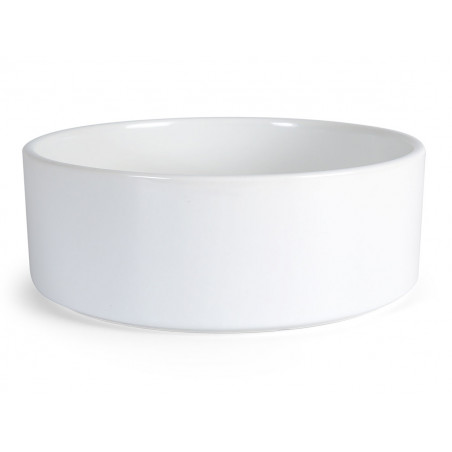 plain ceramic dog bowls