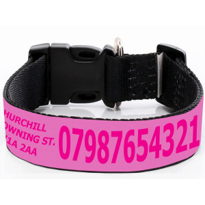 Breites Rosa Hundehalsband...