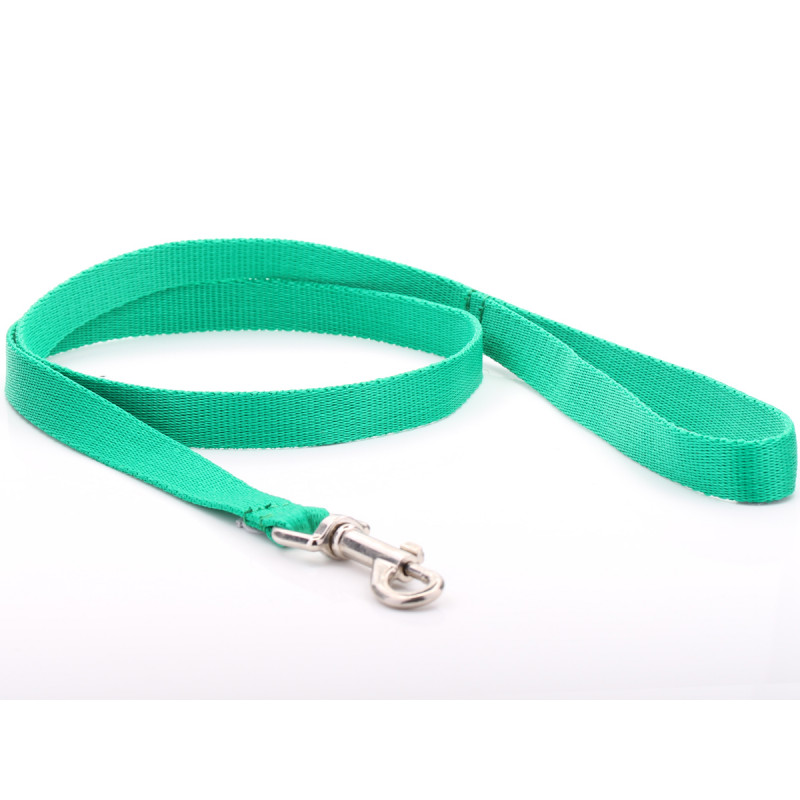 Green Nylon Dog Lead