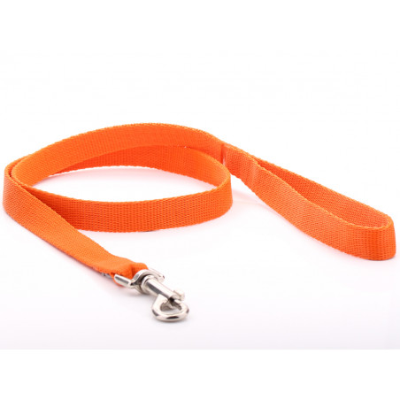 Orange Nylon Dog Lead