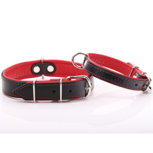 Black & Red Leather Dog Collar