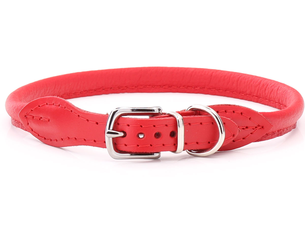 Red Rolled Leather Dog Collar for dogs with long hair