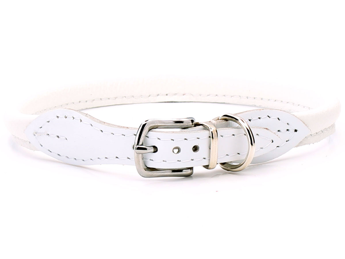 White Rolled Leather Dog Collar for dogs with long hair