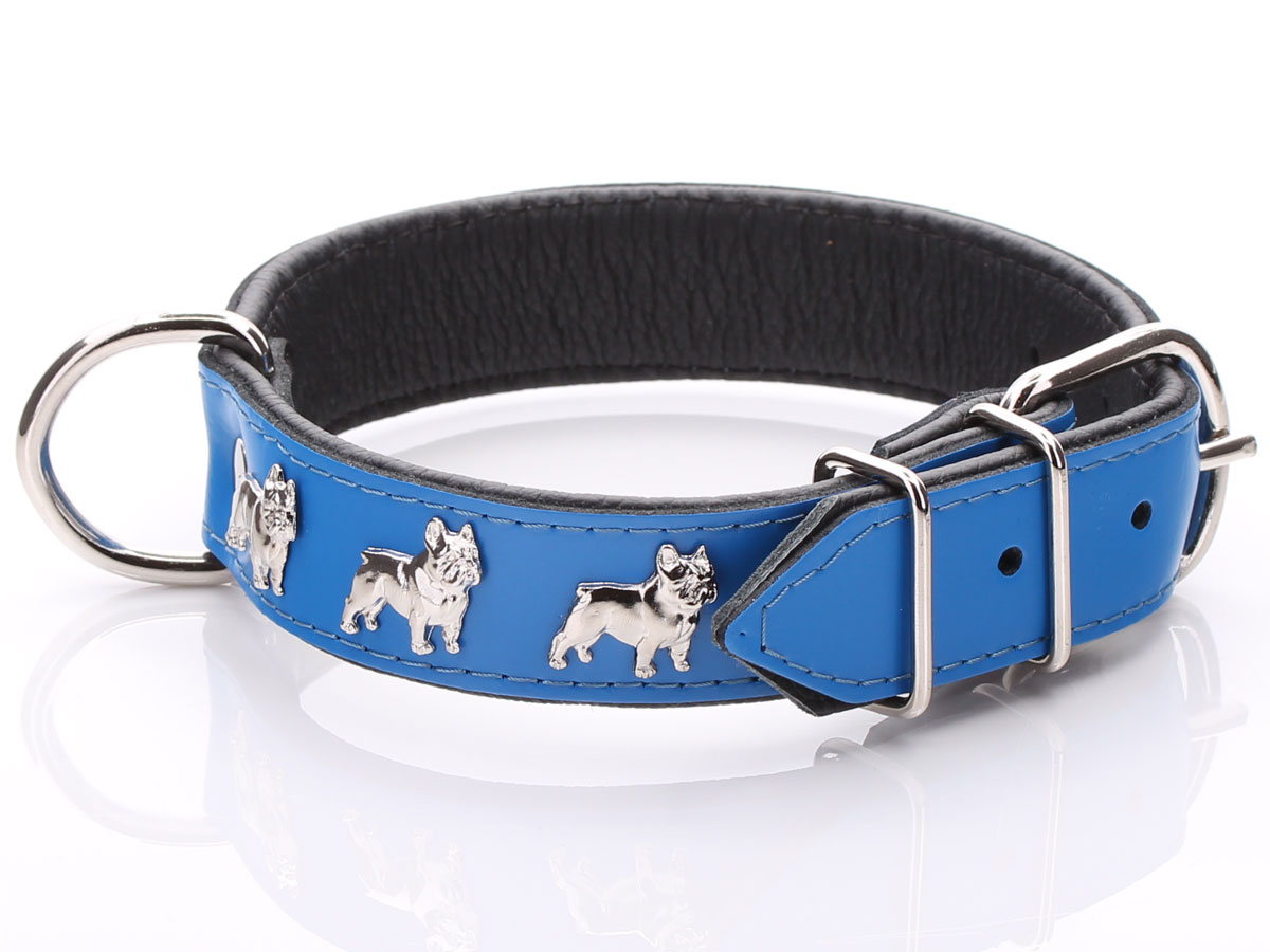 75-best-french-bulldog-collars-photo-bleumoonproductions