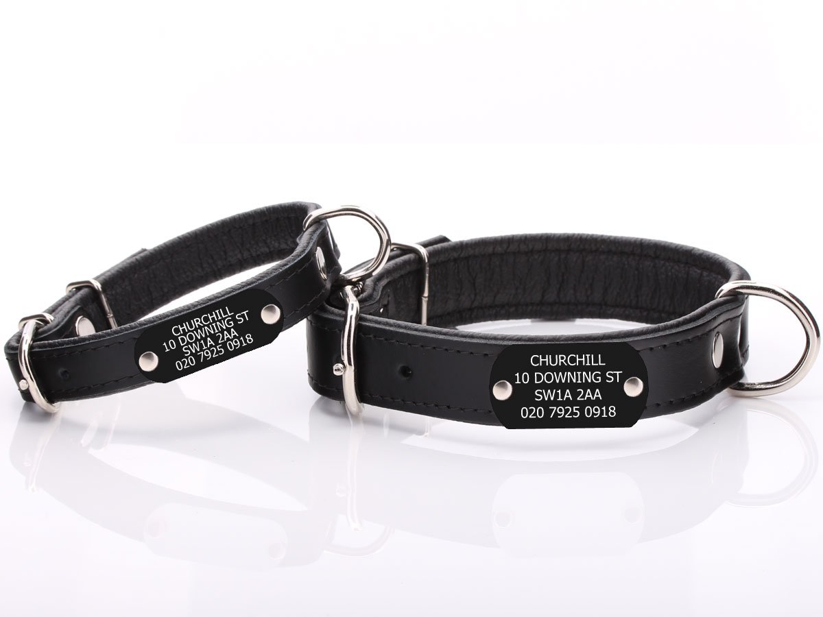 Black Leather Dog Collar with Personalised Nameplate Attached