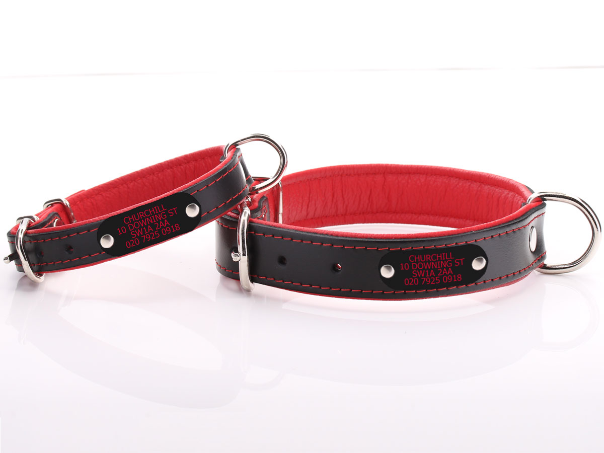 red rolled leather dog collar mutropolis
