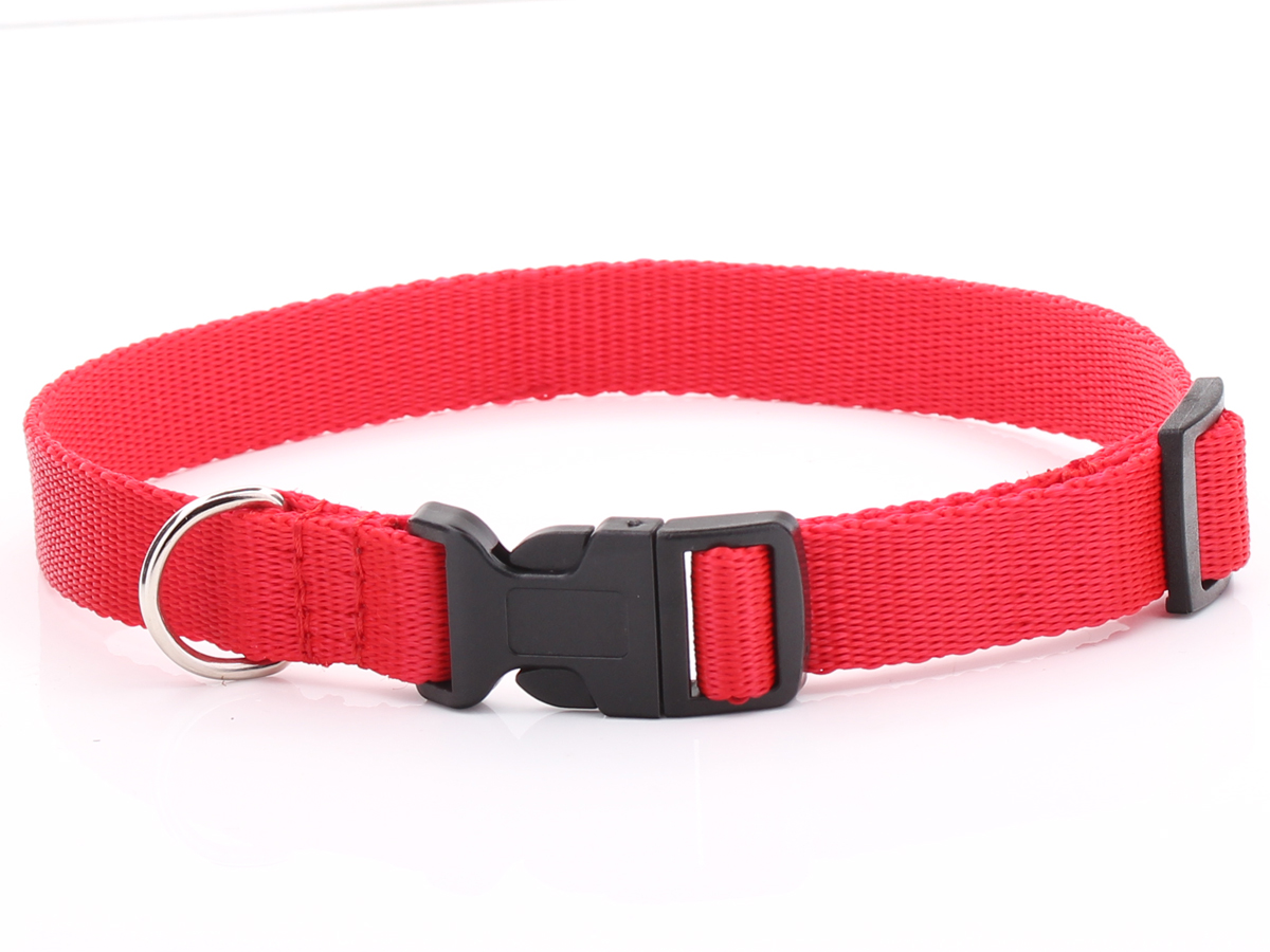 Adjustable Red Nylon Dog Collar