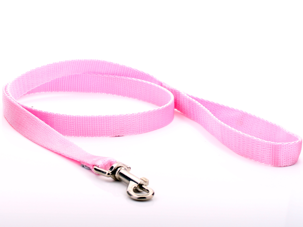 Pink Nylon Dog Lead