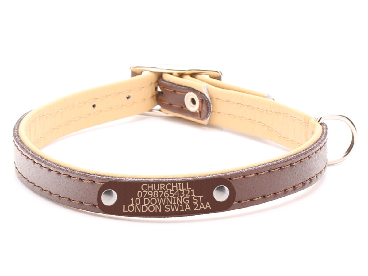 Dog Collar With Name Tag Near Me